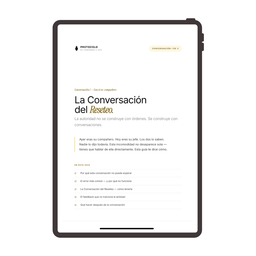 Mockup Conversación 1 — Reseteo